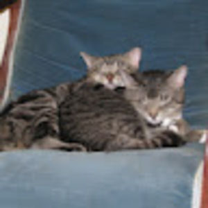 Meet your Posher, Wendy